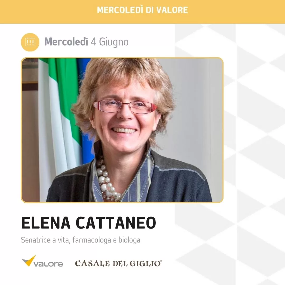 VALORE SRL_mercoledìdivalore_04_giugno_2025_cattaneo_1080_1080_1